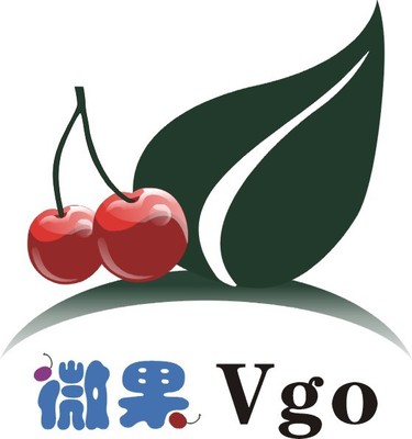 嚴(yán)達計算機軟硬件簡介